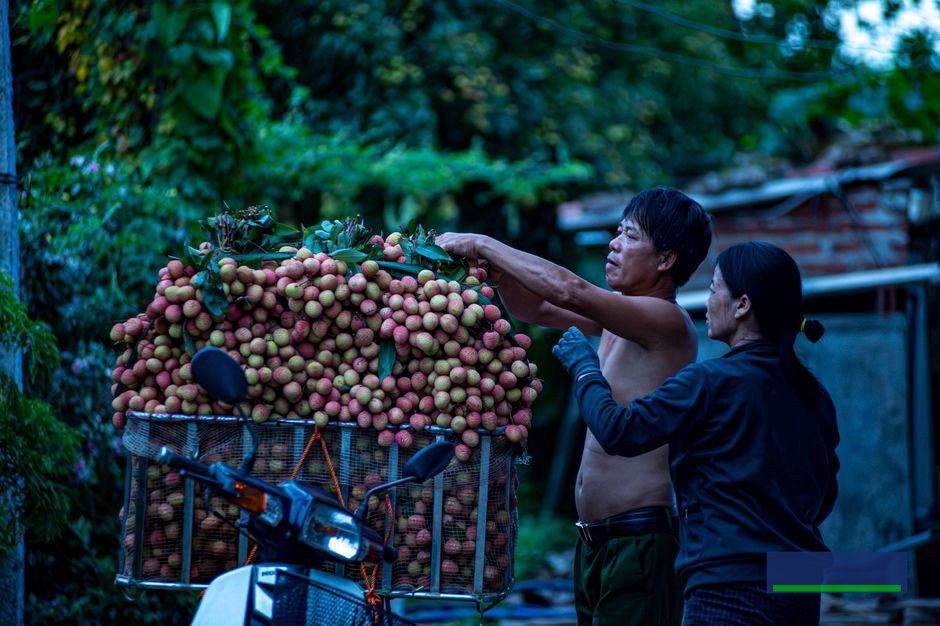 Trải nghiệm phụ huynh quyết định uy tín trung tâm